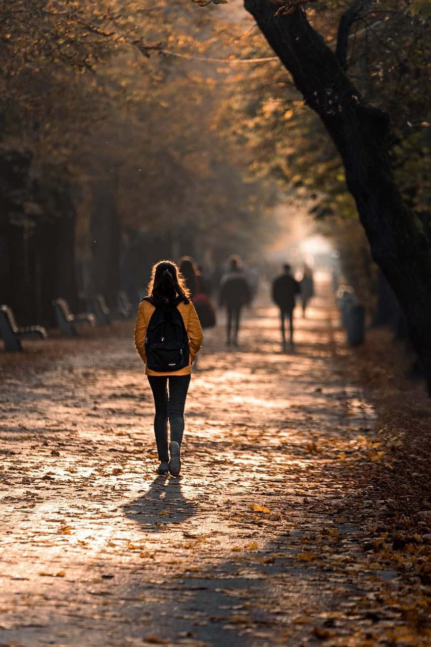golden hour, nature, portrait, park, orange, leaves, tree, nature, nature, nature, nature, nature